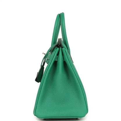 Green Togo leather Birkin 25 handbag back view with top handles and side seams