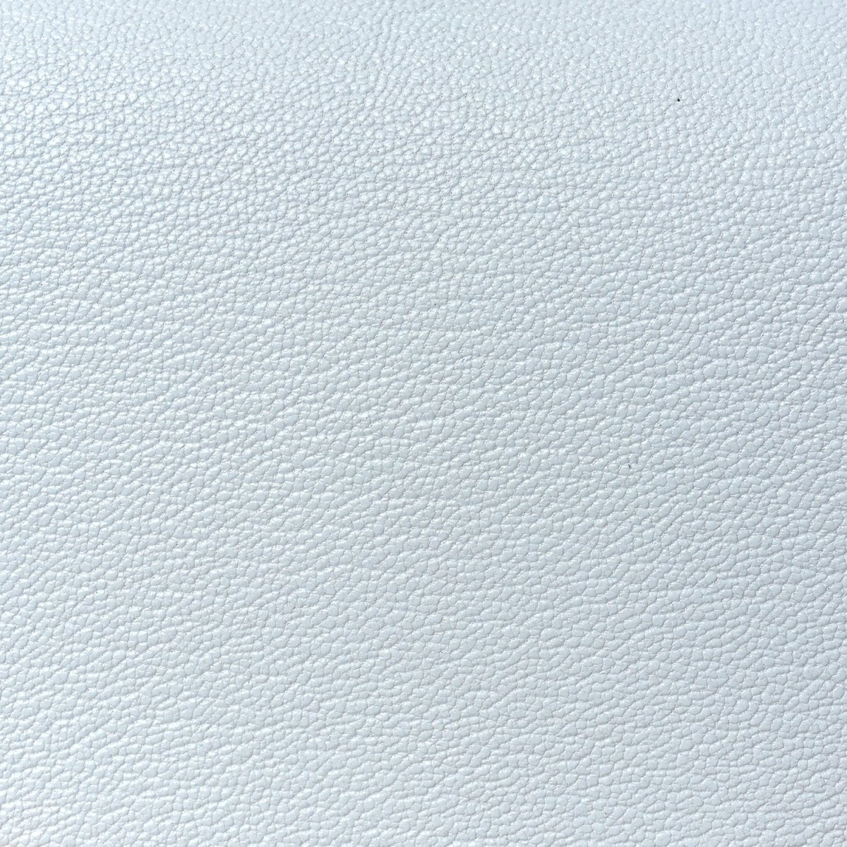 Textured light blue leather surface